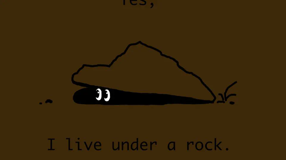 An honest review of (metaphorically) living under a rock
