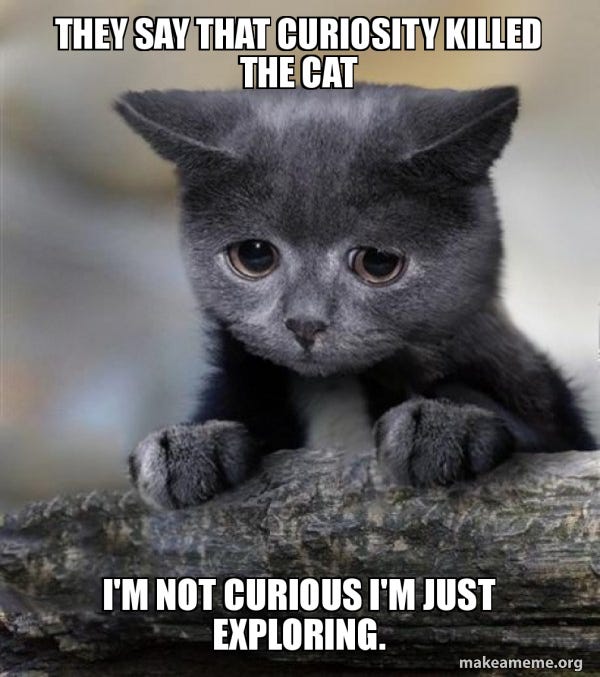 I don’t know what memes to put, so I’ll just spam the entire blog with curiosity killed the cat memes 😛