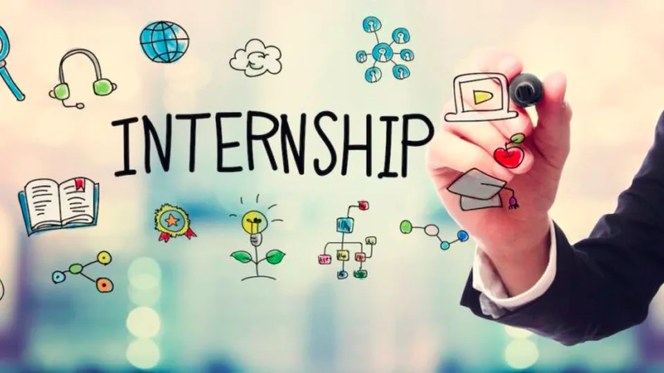 Why the Hell do Companies even Hire an Intern?